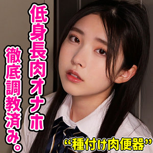Smuc173jp