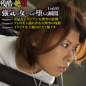 Zech095jp