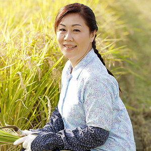 Asrt245jp