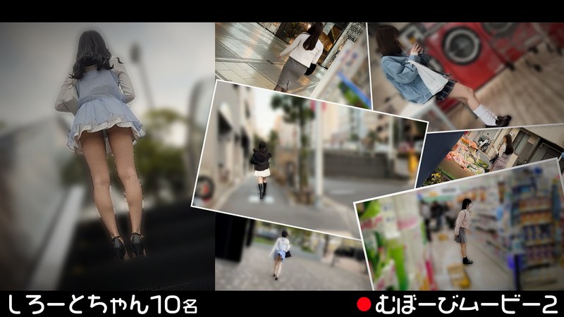 H 1711fch00113pl
