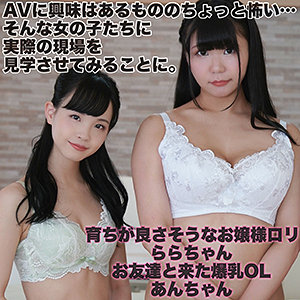 Lady440jp