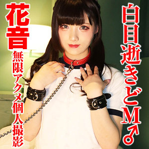 Sacz349jp
