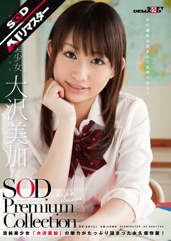 1sdmt00587aipl