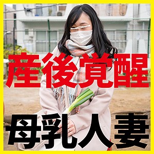 Ffnn062jp