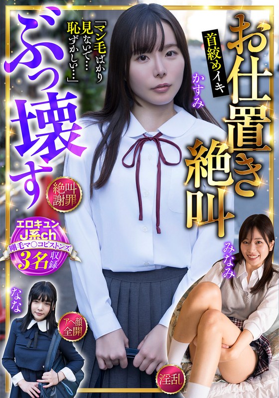H 1454jksr74803pl