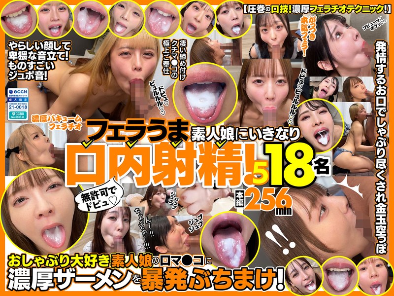 H 1721fkaw00005pl