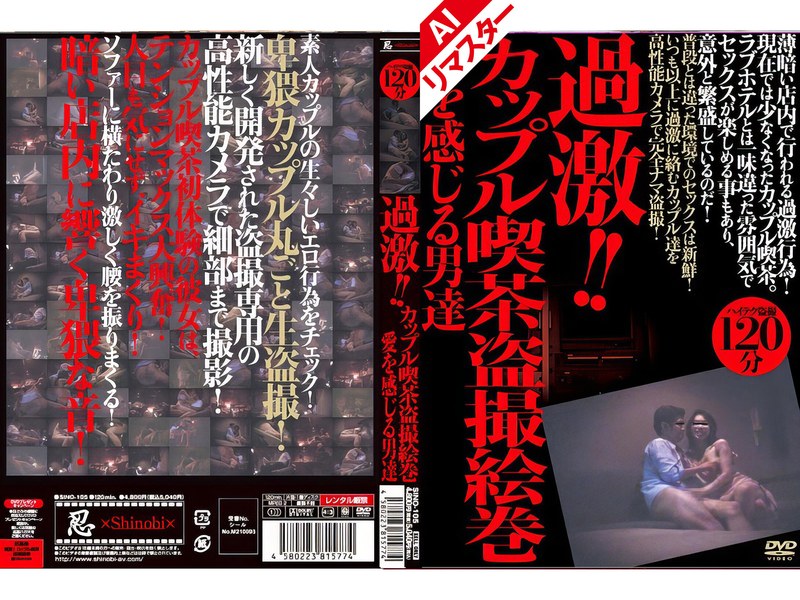 H 210sino00105aipl