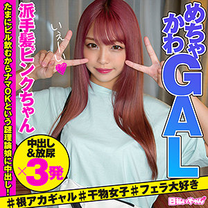 Hibr024jp