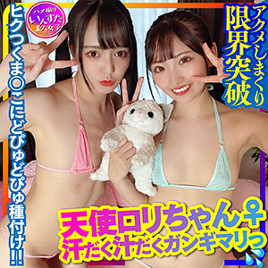 Instc301jp