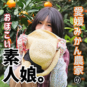 Lady386jp