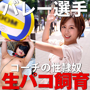 Mazof011jp