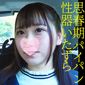 Srsy031jp